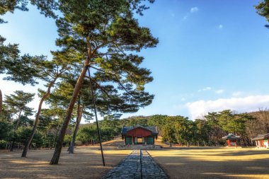 Taereung Kraliyet mezarı