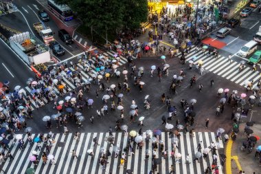 shibuya geçişi yukarıdan görüntülendi