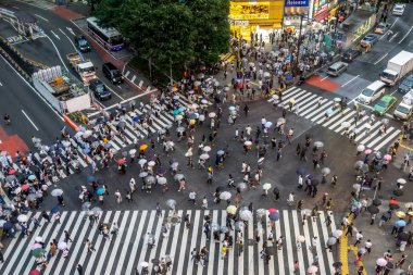 shibuya geçişi yukarıdan görüntülendi