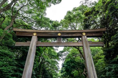 İlk Meiji jingu torii kapısı