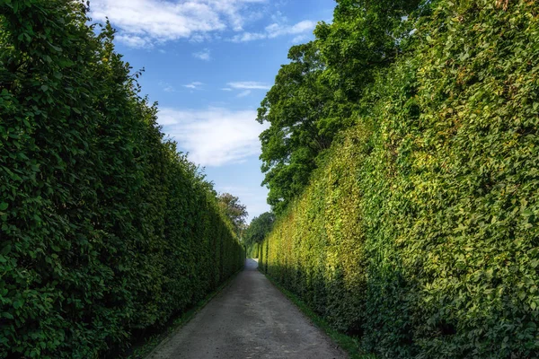 cesky krumlov castle garden maze