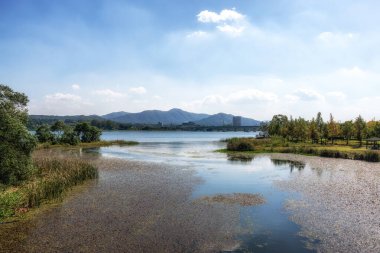 Nehir manzaralı bahçe