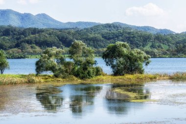 Nehir manzaralı bahçe