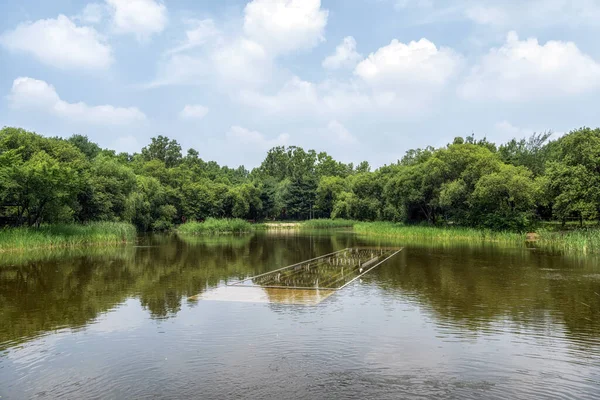 Seoul Forest Central Lake Viewed Summer Time Seoul Forest Seoul — Stock Photo, Image