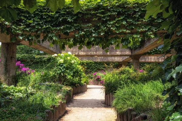 Soulská Lesní Zahrada Zahrada Bývalé Nádrže Úpravu Vody Pořízeno Soulském — Stock fotografie