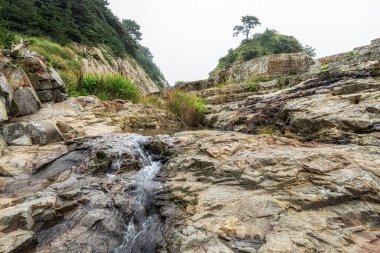 Geoje Adası Sinseondae Uçurumu çeşitli kaya oluşumları ve kıyı manzarası. Geoje, Güney Kore 'de ele geçirildi
