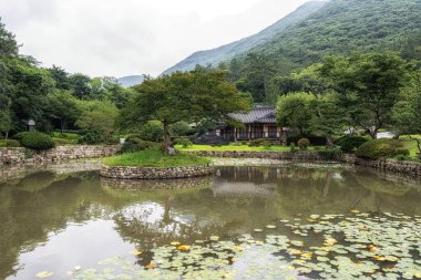 Jindo Ullimsanbang evi, ünlü ressam Sochi 'nin evi. Yağmurlu bir günden sonra çekildi. Jindo Adası, Kore