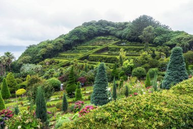 Oedo Botanik Bahçesi manzaralı. Güney Kore, Geoje 'de ünlü bir turizm merkezi.