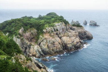 Oedo botanik bahçesi ve okyanus manzarası. Oedo, Güney Kore 'nin Geoje şehrinde ünlü bir turistik merkezdir.