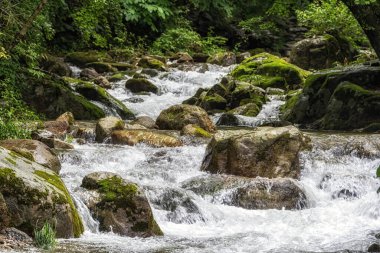 Suncheon Jogyesan Dağı deresi Seonamsa Tapınağı yakınlarında ele geçirildi. Suncheon, Güney Kore