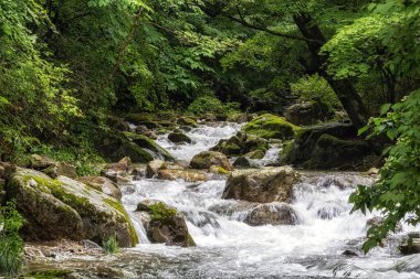 Suncheon Jogyesan Dağı deresi Seonamsa Tapınağı yakınlarında ele geçirildi. Suncheon, Güney Kore