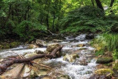 Suncheon Jogyesan Dağı deresi Seonamsa Tapınağı yakınlarında ele geçirildi. Suncheon, Güney Kore