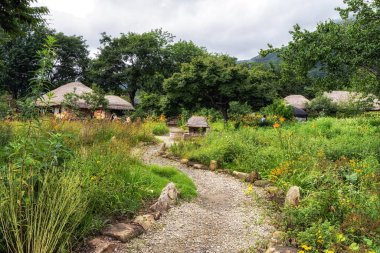 Suncheon Naganeupseong Halk Köyü çeşitli geleneksel evler ve evler. Suncheon, Güney Kore