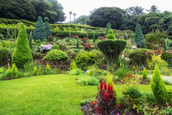 Jardín Botánico Oedo Flores Flora Famosa Atracción Turística Geoje Corea —  Fotos de Stock