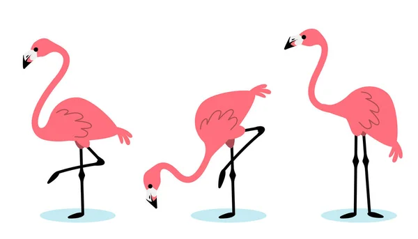 Beyaz arkaplanda gölgeli farklı pozlarda güzel pembe flamingoların temsili. Web, site, bayrak, kart, etiket, baskı için flamingo düz stil tasarımı