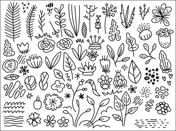 Векторный Набор Красивых Простых Цветочных Элементов Цветов Белом Цветовом Фоне — стоковый вектор