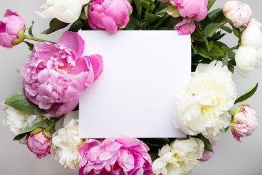 Çiçeklerle çerçevelenmiş. Beyaz bir kağıt. Beyaz arka planda şakayıklar. Boşluğu kopyala.
