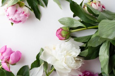 Beyaz arka planda şakayıklar. Boşluğu kopyala.