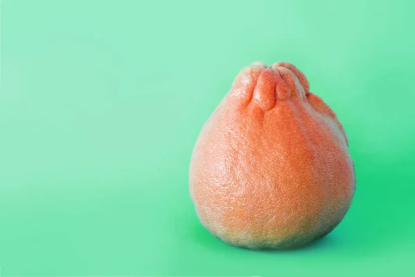 Yeşil arka planda kırmızı turuncu bir pomelo. İzole. Boşluğu kopyala
