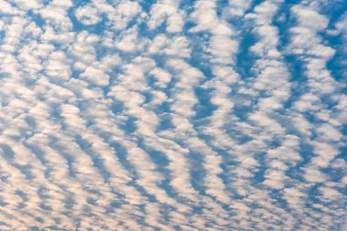 image of blue sky(altocumulus) and white cloud texture for background usage. clipart