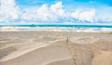 yolculuk fikir kavramı görüntü mini fotoğrafçı bebek ve deniz. (seçici odak mini bebek)