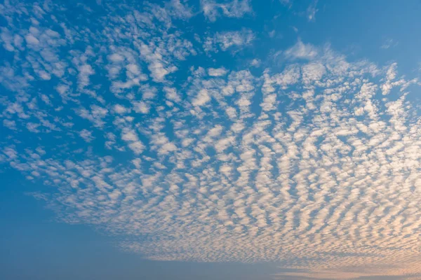 Bild Blå Himmel Altocumulus Och Vit Moln Struktur För Bakgrundsanvändning — Stockfoto