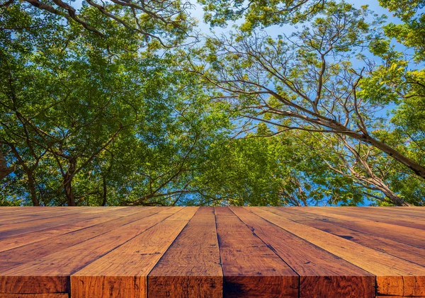 Kép Üres Asztal Zöld Erdő Napfénnyel Háttérben — Stock Fotó