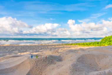 minifigure bebek fikir görüntüsü ile Kum Plajı üzerinde çalışan dört atlet bulanıklık güzel deniz gün zaman arka planda.