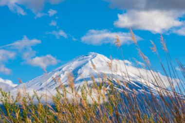 Fuji Dağı ve Gölü Kawaguchi görüntü zaman görünümü Kogamasao Anıt Parkı'akşam üzerinde bulutlu gökyüzü ile.