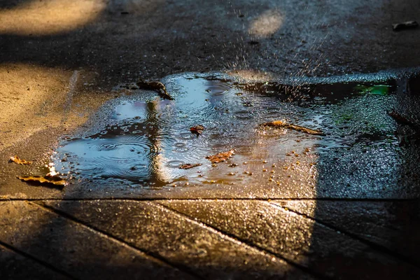 Εικόνα Των Σταγόνων Βροχής Βουτιά Στην Επιφάνεια Του Δρόμου — Φωτογραφία Αρχείου