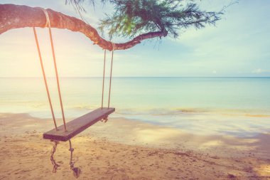 salıncak görüntü çam ağacı asılı.