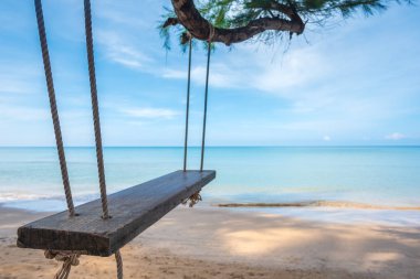 salıncak görüntü çam ağacı asılı.