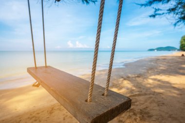 salıncak görüntü çam ağacı asılı.