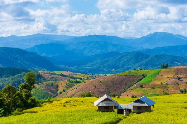 gökyüzü teraslı altın pirinç alanıyla.