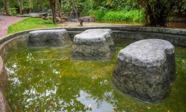 Pong Nam Ron Tha Pai kaplıca su gölet.