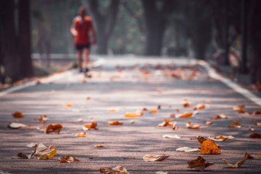 İnsanlar ve küçük bir yolda düşen yapraklar .