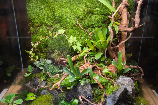 garden with rock and driftwood in glass container.