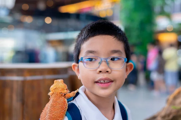 Niño mantenga barbudo dragón en el hombro . — Foto de Stock