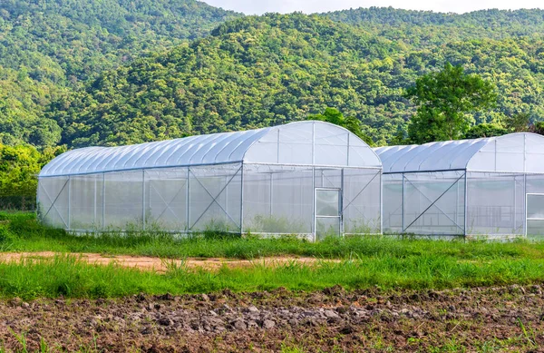 Tienda de campaña en granja inteligente cerca de la montaña verde . —  Fotos de Stock