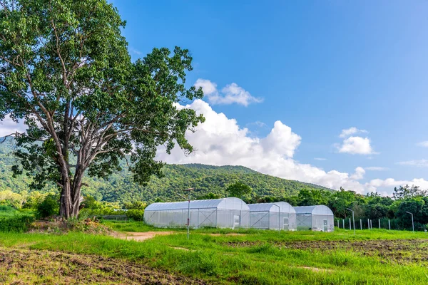 绿山附近的智能农场的帐篷. — 图库照片