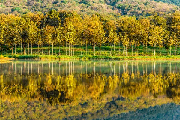 the lake with green mountain after rain in spring season.