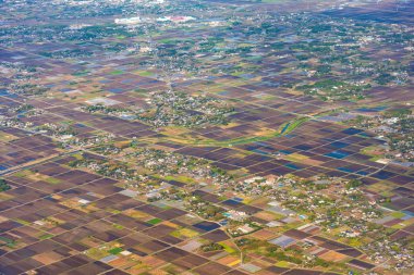 Japonya banliyölerinde de tarım alanı görmek.