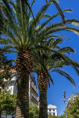  Şehir mimarisi, şehir merkezi, gökdelen. Tatil, tatil. Manzaralı seyahat geçmişi. Görüntüyü izle. Biarritz plaj şehri..