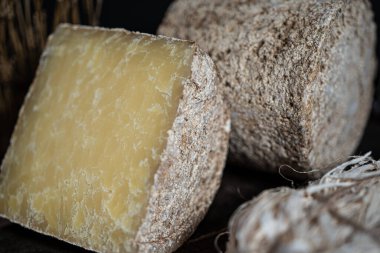 Yumuşak beyaz arka planda Fransız peyniri. Üst görünüm.