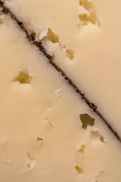 Queso con trufas. Primer plano de macro. Delicioso queso caro . —  Fotos de Stock