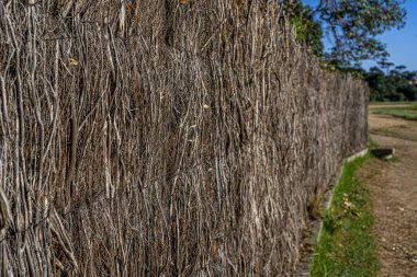 Kuru çit. Güzel, kırsal bir yakın çekim. Ahşap doku, soyut ahşap zemin. Arkaplan dokusu eski.
