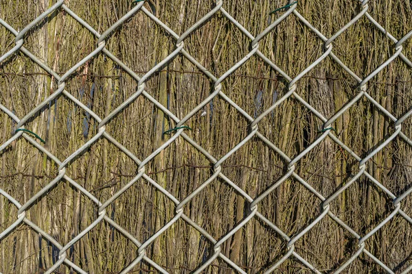 金属グリルとドライブランチフェンス。美しい素朴な閉鎖。木の質感、抽象的な木製の背景。背景の質感古い. — ストック写真