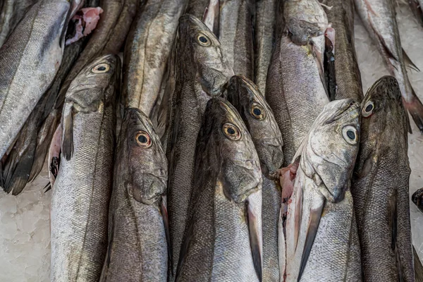 Close Van Heekvismarkt Witte Achtergrond Gezonde Verse Voeding Zeeoceaan Gezond — Stockfoto