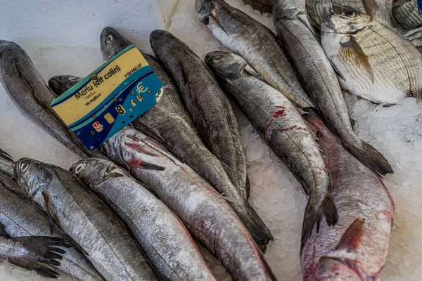 Sluitingen van verschillende vissen op de markt op het ijs. Gezonde verse voeding. Zeeoceaan. Gezond voedsel. — Stockfoto