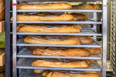 Fırında yeni pişmiş Fransız ekmeği ekmeği. Sağlıklı taze besin. Tam ekmek..